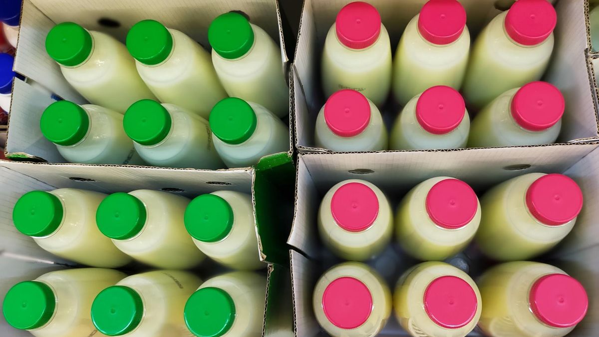 Rocznie spożywamy aż 225 litrów. Ulubiony napój Polaków niszczy wątrobę i prowadzi do otyłości