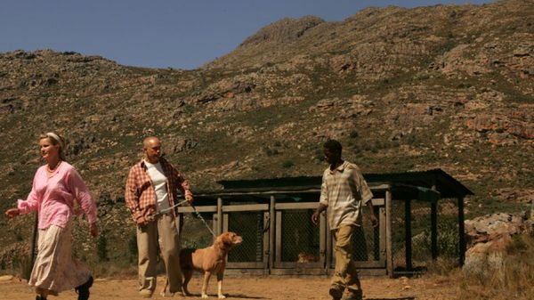 Niezła recenzja: Co za Hańba! 1