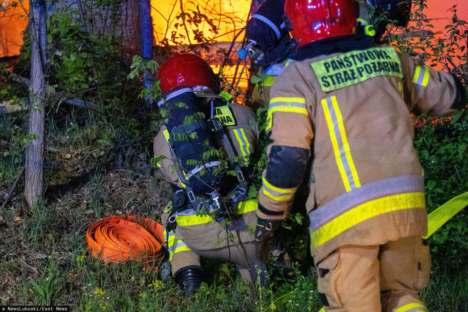 wiadomości,aktualności,WP Wiadomości Tragiczny wypadek pod Zieloną Górą. Dwa auta stanęły w ogniu