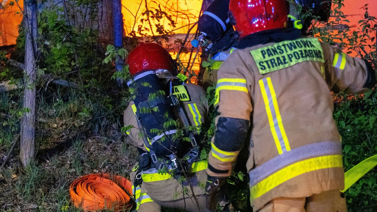 Wypadek ko?o Zielonej G�ry. Auto stan??o w ogniu
Fot. NewsLubuski/East News, Swidnica, 02.05.2025. Wypadek drogowy przy miejscowosci Swidnica kolo Zielonej Gory. Samochod osobowy marki Audi wypadl z drogi, roztrzaskal sie o drzewa i dachowal. Auto stanelo w plomieniach, a pozar szybko rozprzestrzenil sie po pojezdzie. Jedna osoba zostala poszkodowana.
NewsLubuski