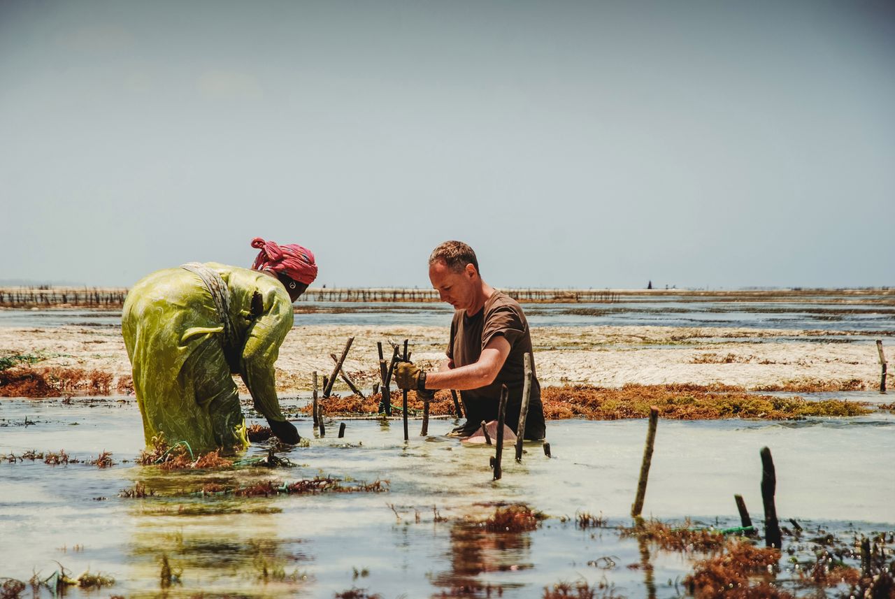 Moja praktyka – uprawa wodorostów – Jambiani – Zanzibar