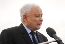 "Autentyczny rabunek". Stowarzyszenie grzybiarzy zirytowane pomysłami Kaczyńskiego