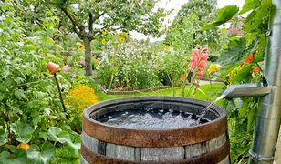 Gminy szykują niezapowiedziane kontrole. "Kary do 10 tys. złotych"