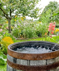 Gminy szykują niezapowiedziane kontrole. "Kary do 10 tys. złotych"