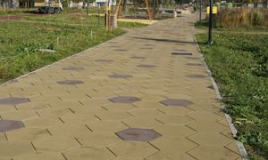 Jedno mycie kostki może przedłużyć jej życie o lata. Nie zaniedbuj tego