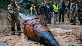 Odkrycie na Podkarpaciu. Gigantyczny stożek znaleziony w ziemi