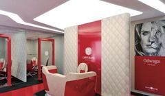 Idea Bank rezygnuje z marki Lion’s Bank. „Medialny szum uderzył rykoszetem w nasz wizerunek”