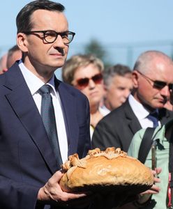 "Zboże techniczne" z Ukrainy. Ujawniamy listę, którą skrywano miesiącami