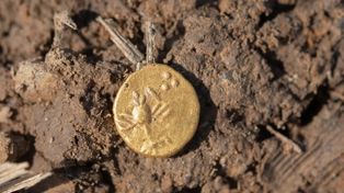 Czeski skarb ma 2,5 tys. lat. Takich monet nie spodziewali się odkryć