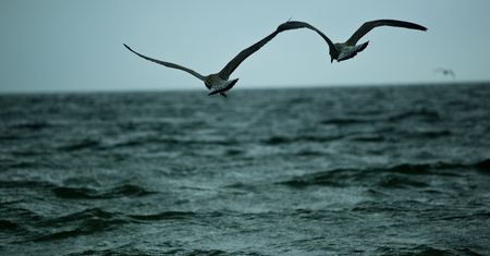 Odkrycie na dnie Morza Czarnego. "Płonący lód" z czasów epoki lodowcowej