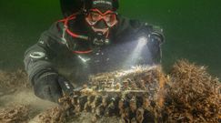 Zaskakujące odkrycie nurków na dnie Bałtyku