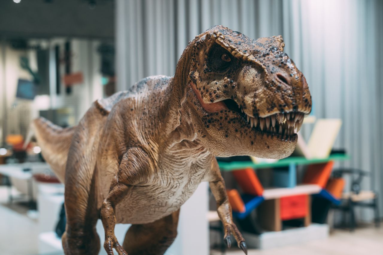 Dinosaur dinosaurs tyrannosaurus