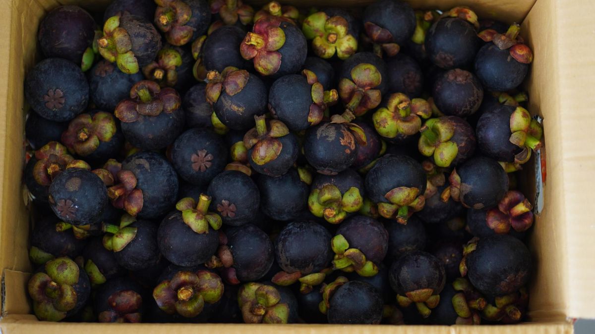 "Królowa" wśród owoców. Reguluje cholesterol i ciśnienie, wspiera odporność