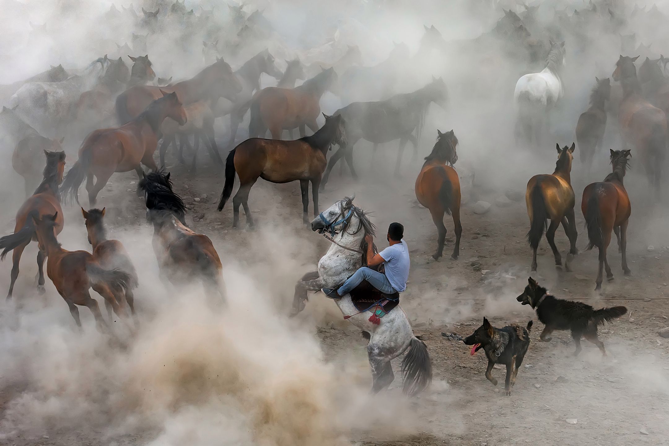Sony World Photography Awards 2018 - pierwsze zgłoszenia pokazują potencjał konkursu 7