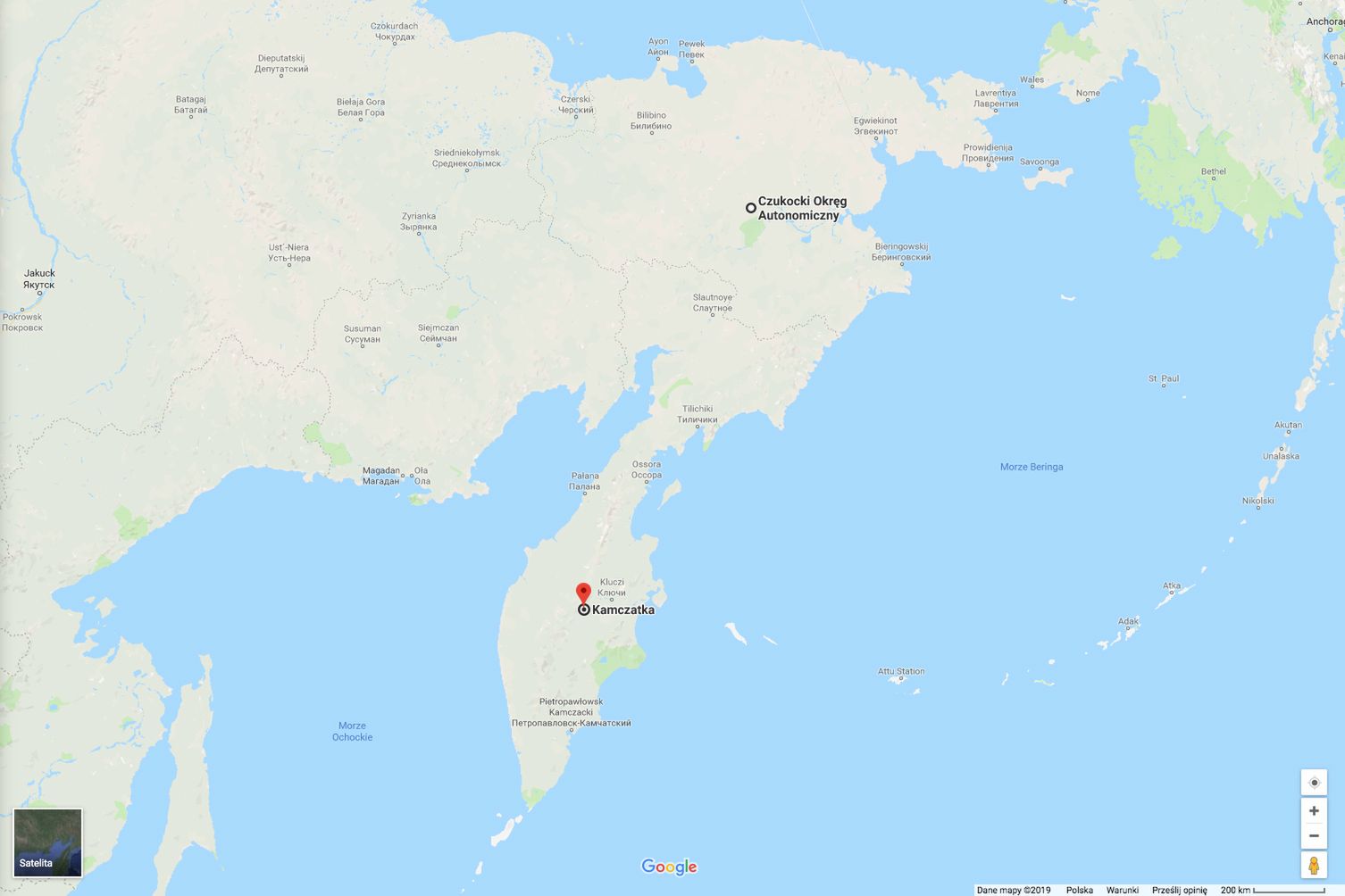 Niedźwiedź polarny trafił do wioski na Kamczatce - 700 km od domu 2