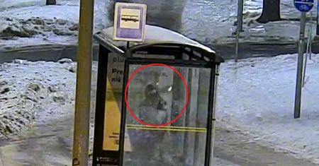 Rozbił szybę na przystanku. Wszystko się nagrało