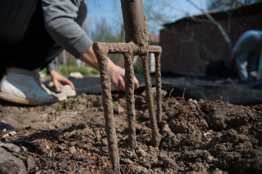 Ogródki działkowe – marzenie Polaków. Nawet na kredyt