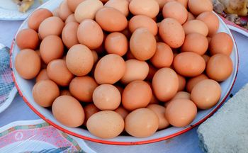 Jak długo mogą leżeć ugotowane jajka? Nie przekraczaj tego terminu