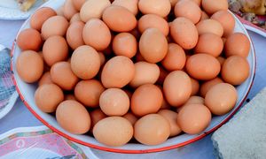 Jak długo mogą leżeć ugotowane jajka? Nie przekraczaj tego terminu