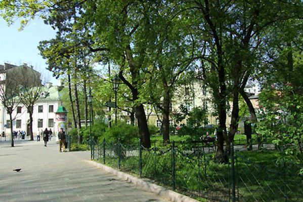 Obraz