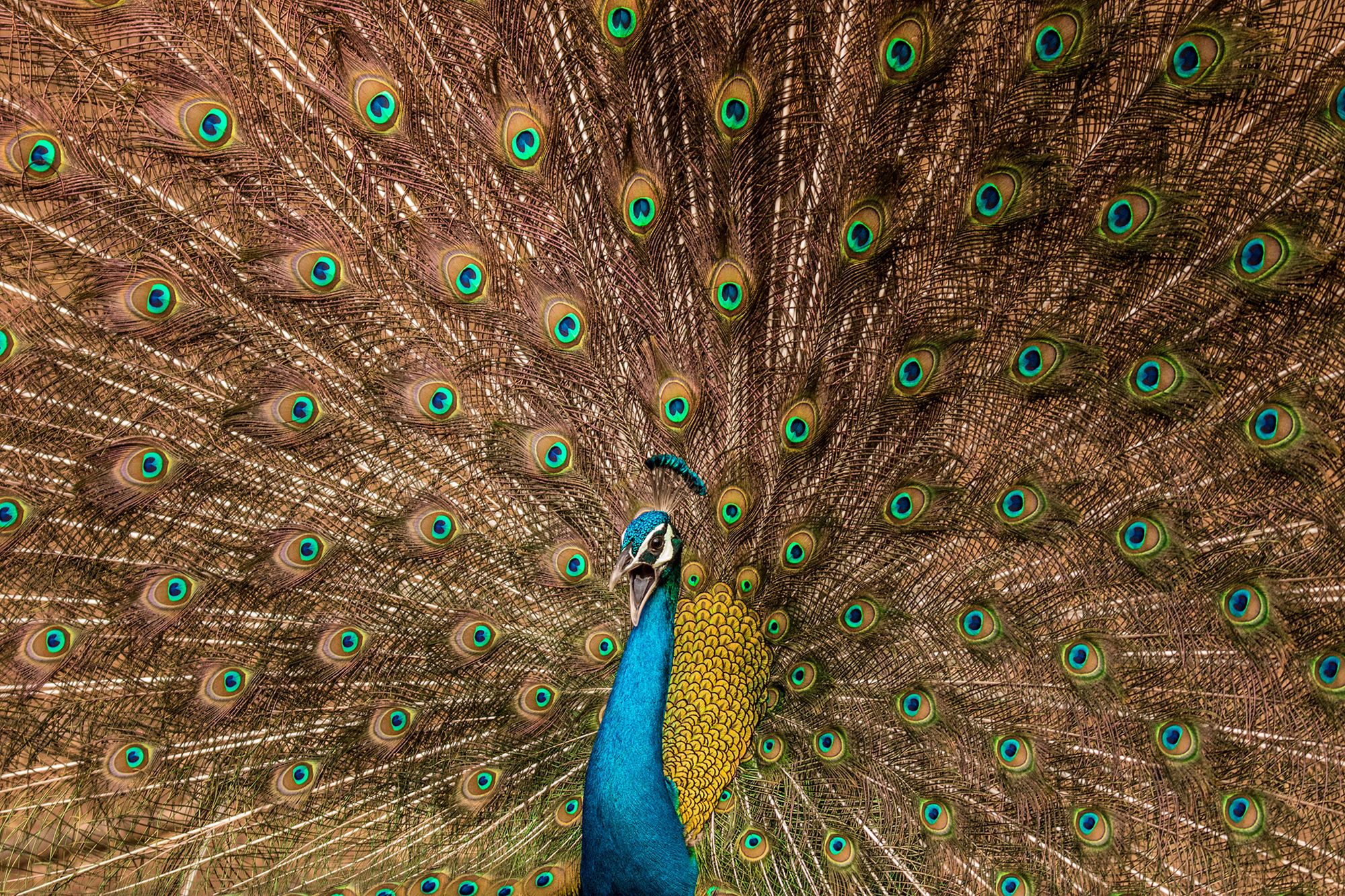Zobaczcie pierwsze zgłoszenia do Sony World Photography Awards 2017 5