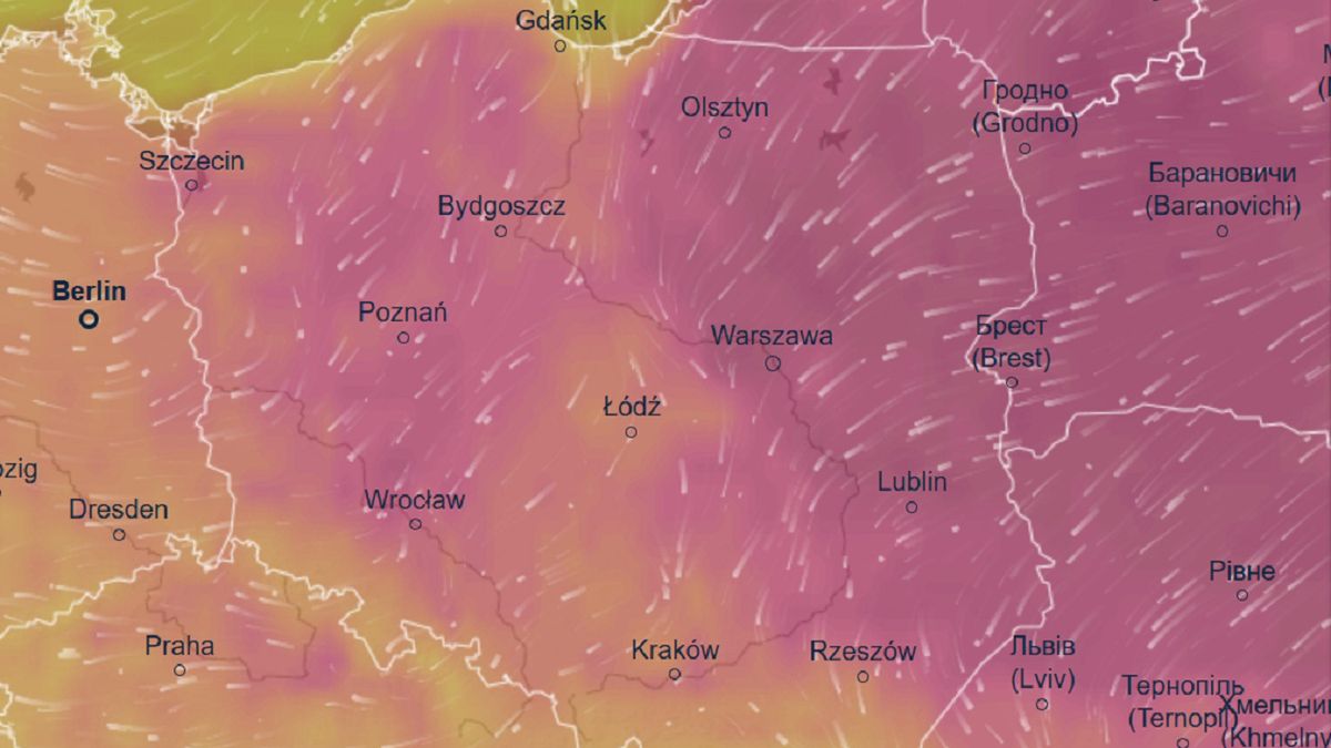 Pogoda na piątek 12 czerwca