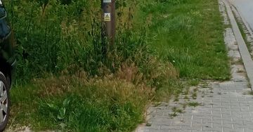 Tam lepiej nie wjeżdżaj w Ostrowcu Św., grozi mandatem