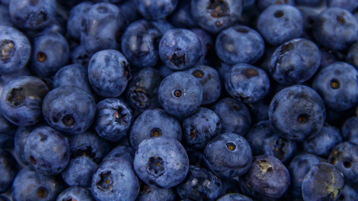 Nie każdy powinien jeść borówki amerykańskie