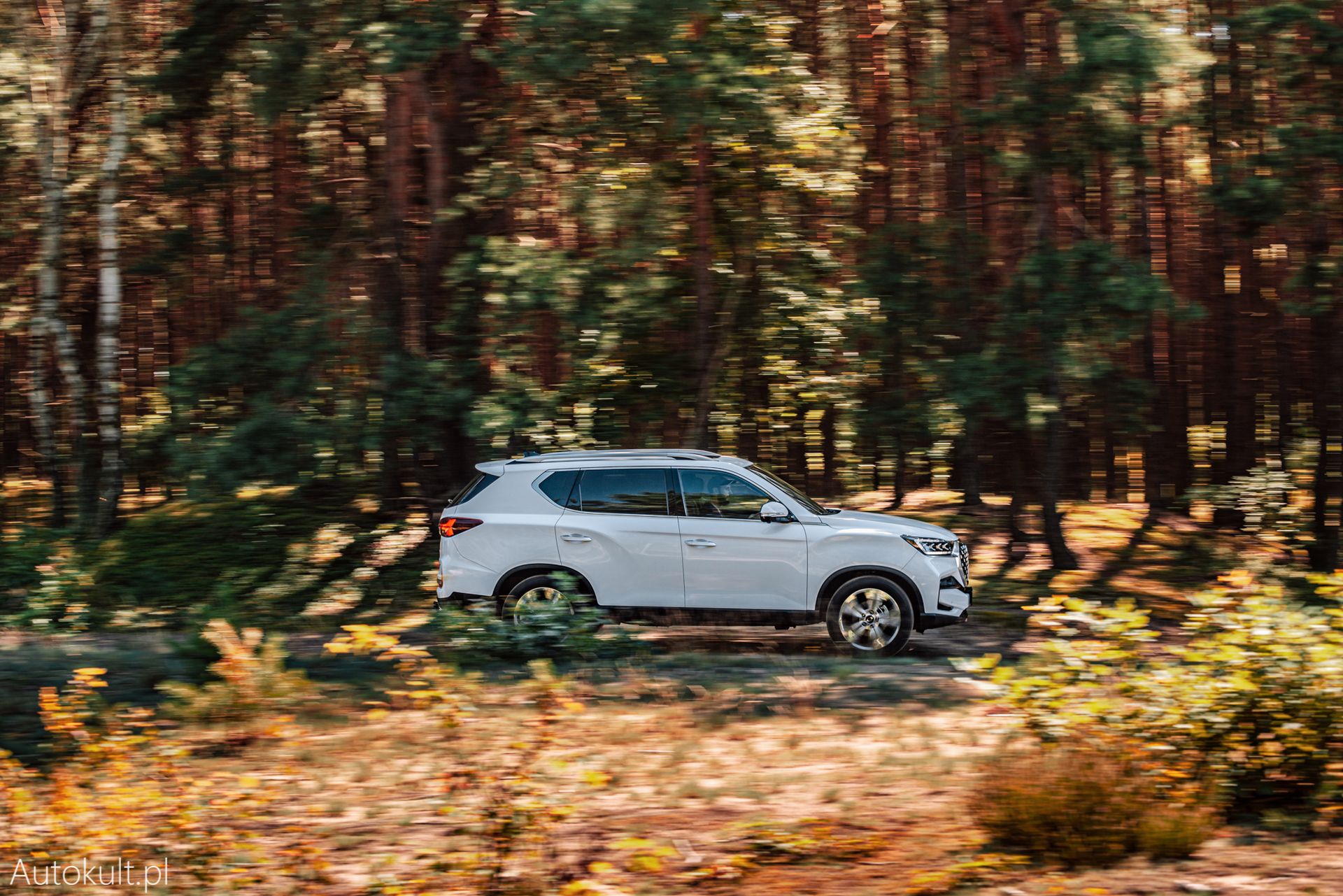 SsangYong Rexton (2021)