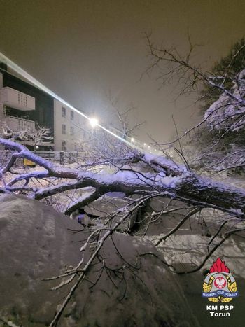 Toruń: Walka z naporem śniegu. Wiele interwencji strażaków