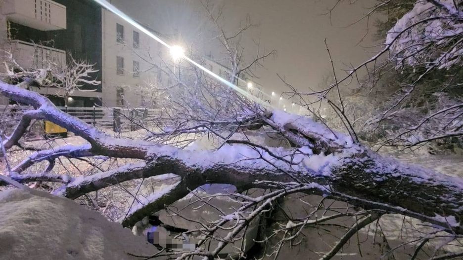 Atak zimy w Toruniu i okolicy