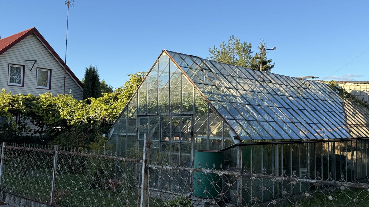 Co sprawdzają urzędnicy?