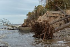 Do Polski nadciąga Xandia! Będzie bardzo niebezpiecznie