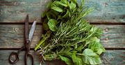 Zioła, które warto hodować w domu