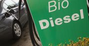 Biopaliwa - czy mają jeszcze szanse na rozpowszechnienie?
