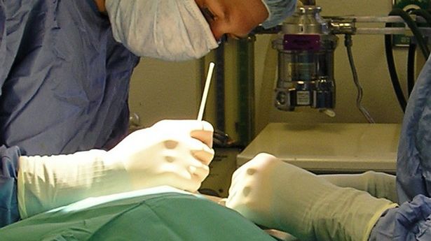 Krabem w raka - nowy sposób leczenia nowotworów 1