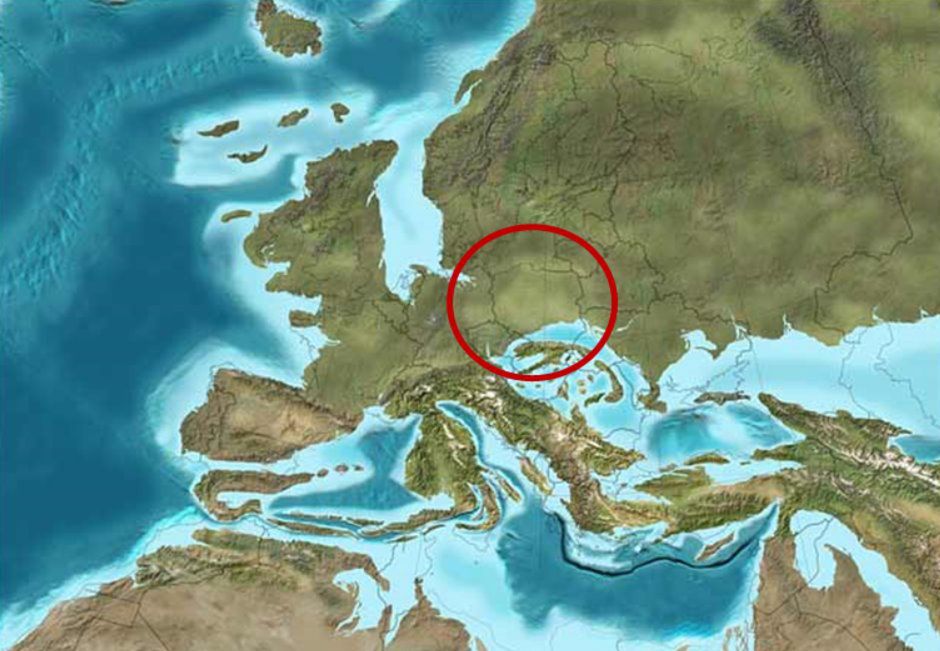 Polska z palmami i ciepłym morzem. Naukowcy odtworzyli mapę Europy sprzed 20 mln lat