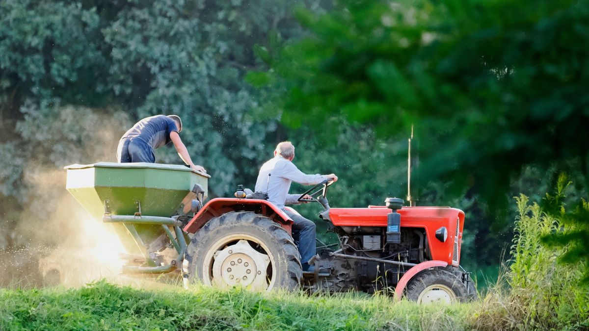 Ile wynosi emerytura rolnicza? KRUS podał nowe dane