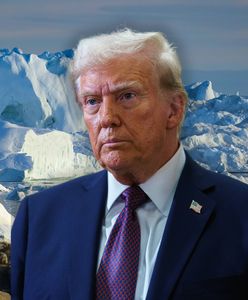 Media: w grze są dwa scenariusze dotyczące Grenlandii