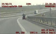 Żnin. Jechała wózkiem inwalidzkim po S5