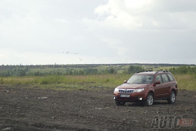 Subaru Forester (fot. Justyna Dworaczek)