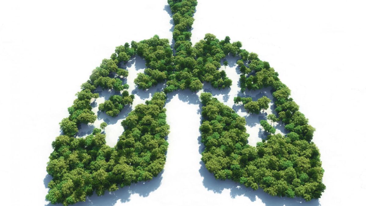 Pneumocystoza, czyli zapalenie płuc wywołane pierwotniakiem Pneumocystis jiroveci, jest  chorobą oportunistyczną