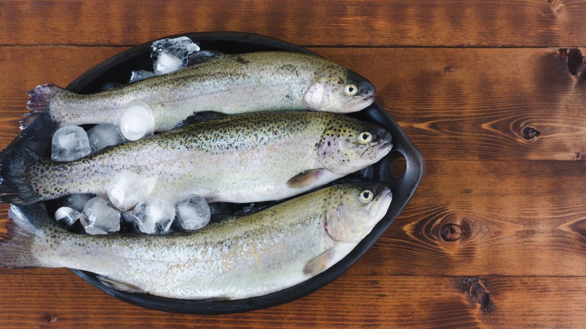 Właściwości troci wędrownej. Uważaj, może być toksyczna