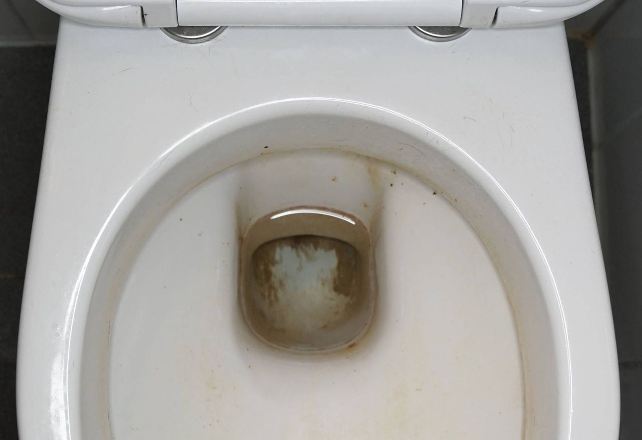 A clever trick to quickly clean the toilet