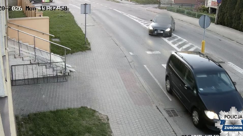 policja