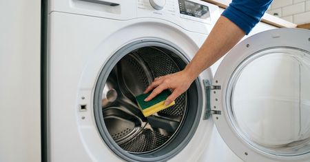 Sierść zostaje na ubraniach po praniu? Włóż do bębna czystą gąbkę