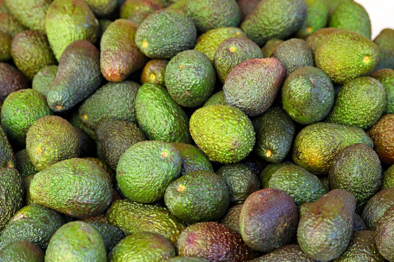 Ruch avocadon’t – dlaczego awokado staje się passe