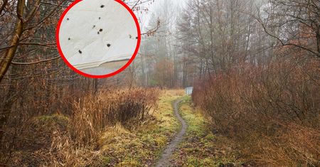 Kleszcz na kleszczu. Pokazała, co się dzieje teraz w Polsce