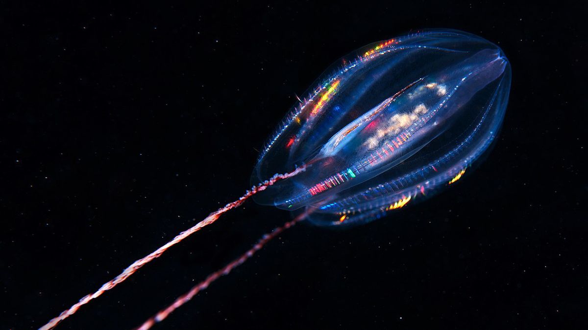 Naukowcy doszli do zaskakujących wniosków. Zdj. ilustracyjne 