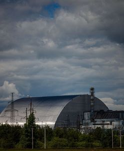 W Czarnobylu znów działają detektory promieniowania